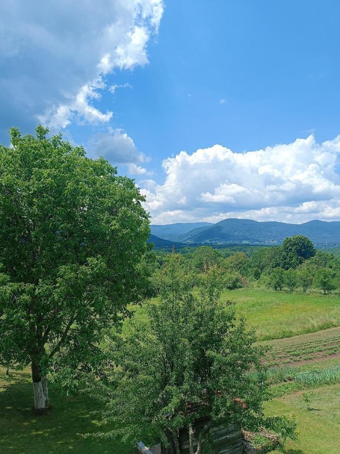 Apartman Plum Plitvice Dreznik Grad ภายนอก รูปภาพ